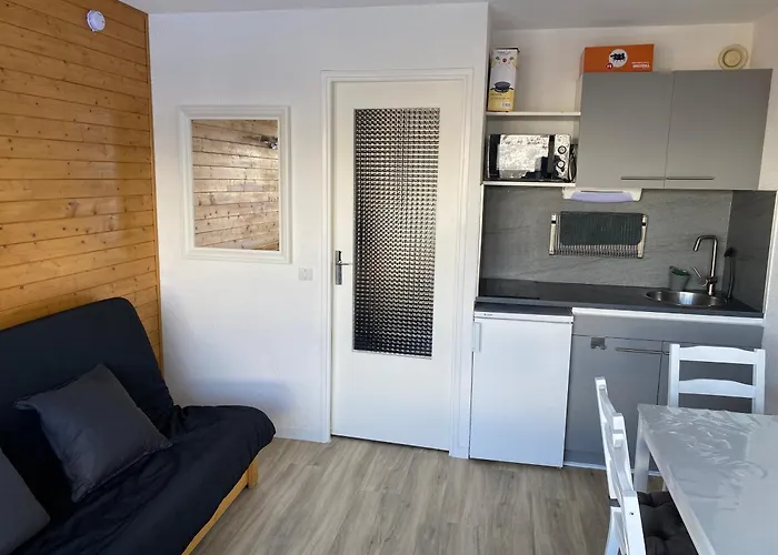 Studio Puy Saint Vincent 1600 aux pieds des pistes